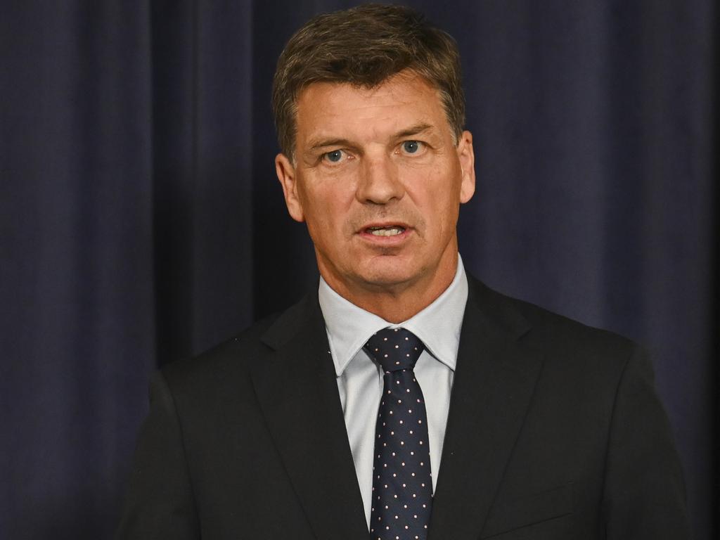 Shadow treasurer Angus Taylor