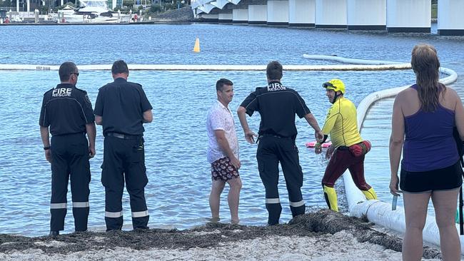 The search effort was extensive at Paradise Point Parklands on the Gold Coast. Picture: Kathleen Skene