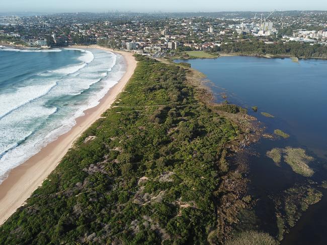 Most of the fires were lit in bushland at the southern end of Dee Why Lagoon. Picture: Manly Daily