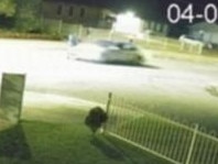 Police are appealing for information after a pedestrian was seriously injured in Sydney’s south west.About 7:30pm yesterday (Sunday 4 May 2025), emergency services were called to Maxwells Avenue, Ashcroft following reports of a pedestrian hit by a car.On arrival, officers attached to Liverpool City Police Area Command found a woman, believed to be aged in her 20s, with serious injuries.