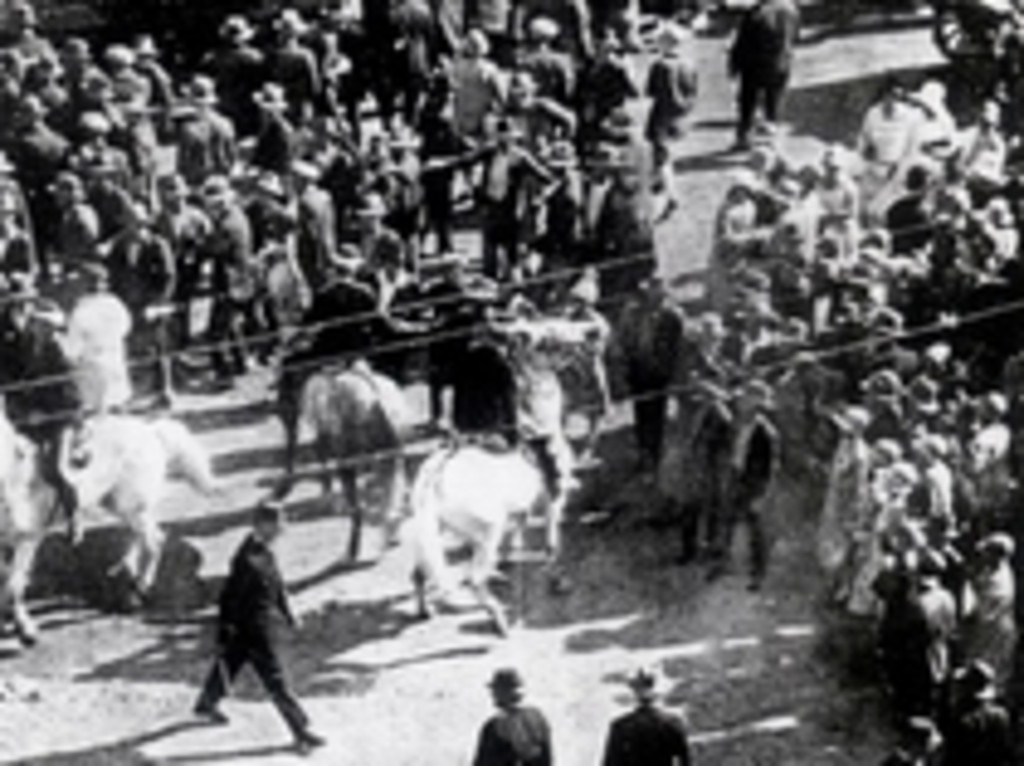 The dog collar act that forced Wharfies to hold a special license to work at a cost of one shilling per year led to mass demonstrations across the country in November 1928.