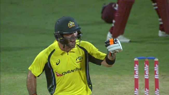 Glenn Maxwell celebrates after hitting the winning runs for Australia.