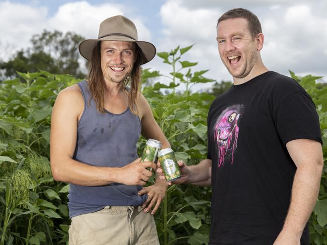 COPYRIGHT WARNING for Moreton Life ONLY. Phone Kylie Knight 3480 8226. Loop Grower's Phil Garozzo and Newstead Brewing Co CEO Mark Howes. Story on Fennel Beer collaboration with Newstead Brewing Co.