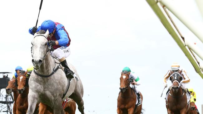 Melbourne Cup PIcture: Robert Cianflone/Getty Images