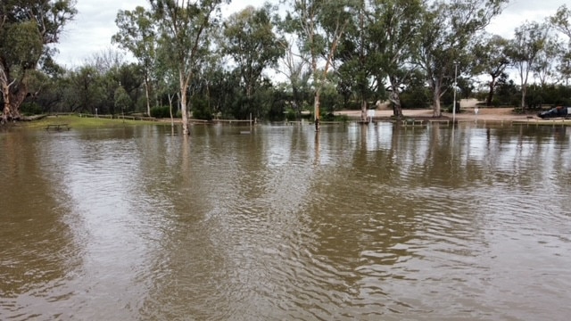 Cadell riverfront, Oct 2022. Picture: Cody Campbell