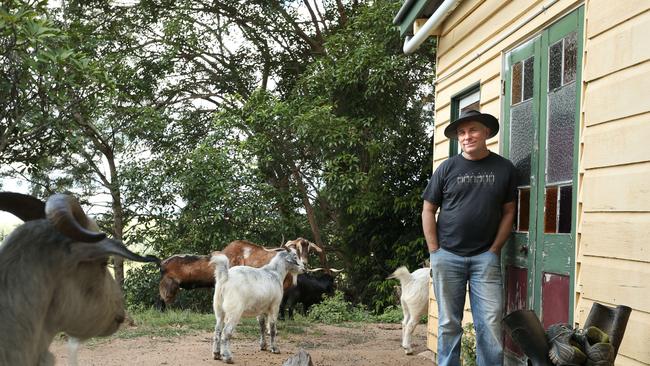 Down on the farm with Brad King and the animals at Farm Animal Rescue, Dayboro.