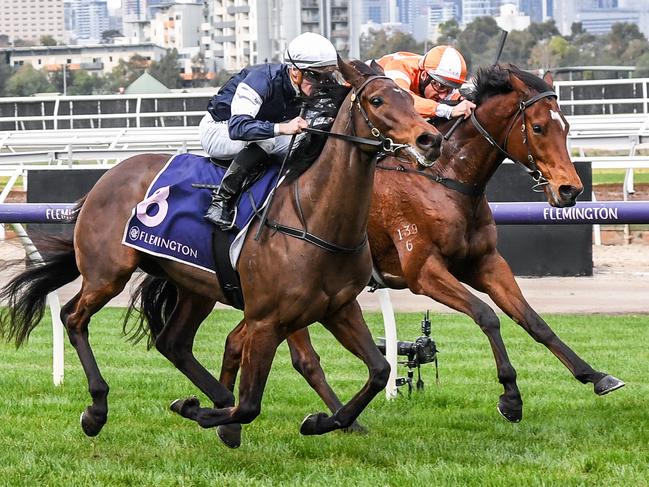 Degraves (IRE) ridden by Will Price wins the The David Bourke at Flemington Racecourse on June 19, 2021 in Flemington, Australia. (Brett Holburt/Racing Photos via Getty Images)