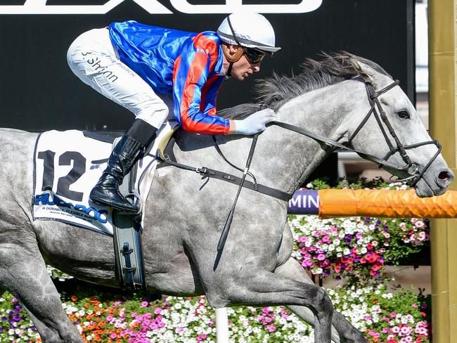 Sea What I See (IRE) ridden by Blake Shinn wins the Rubaroc Grand Handicap Classic at Flemington Racecourse on March 30, 2024 in Flemington, Australia. (Photo by Ross Holburt/Racing Photos via Getty Images)