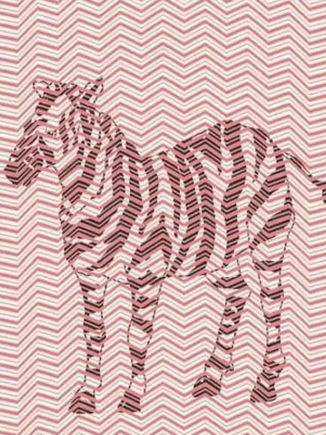 Among the black and white zigzag lines is a zebra. Picture: Supplied