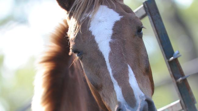 The riding instructor was more than three times the girl’s age when he repeatedly assaulted her.