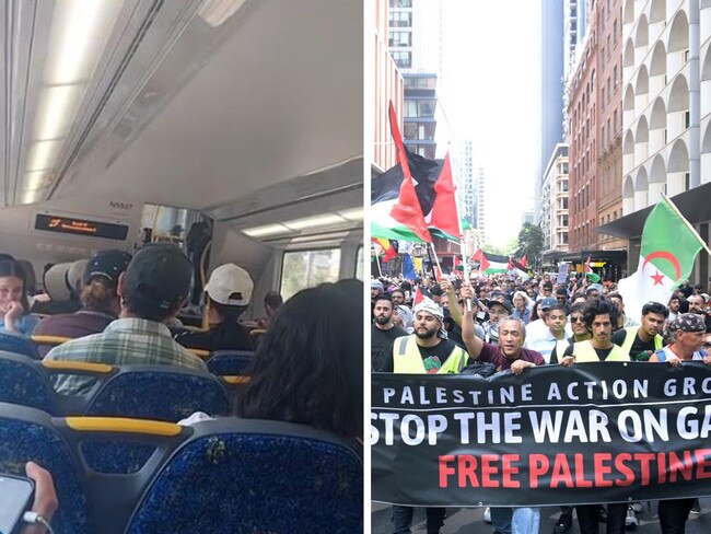 Pro Palestine song played over train loudspeakers.