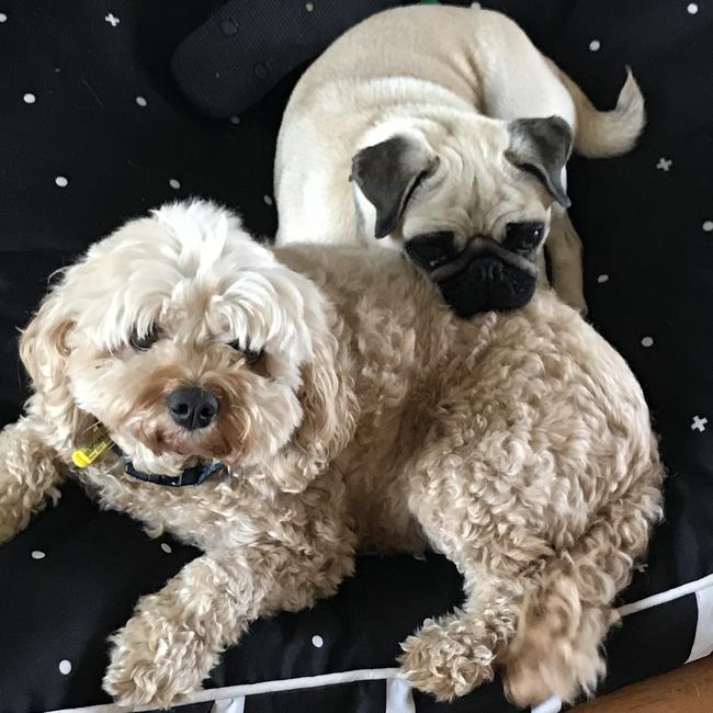 HUTCHIE AND LEIA: Sometimes it’s tempting to stay in bed, especially when cuddles are on the cards.