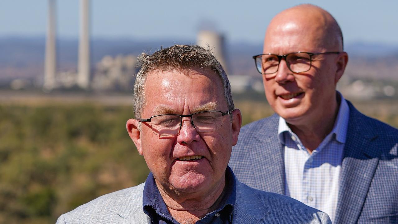 Big-swing Nats MP urges Coalition ‘to dump net zero’
