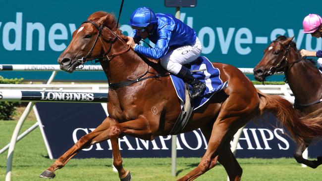 Paulele will appreciate getting back to a firm track in the Heritage Stakes. Picture: Grant Guy