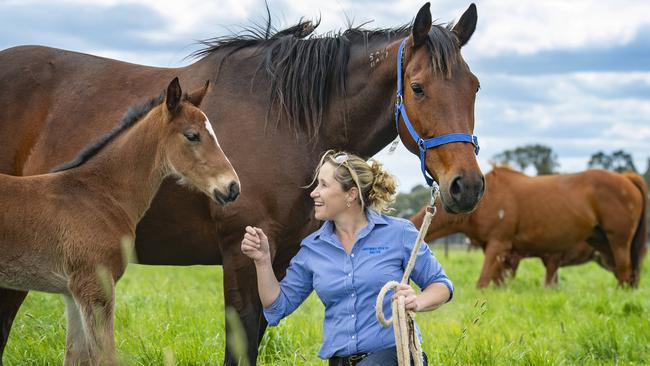 Kath McIntosh at her Northern Rivers equine vet clinic. Picture: Zoe Phillips