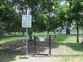 A dedicated dog-walking park has become a no-go zone because of rain. Picture: Jacklyn Wagner