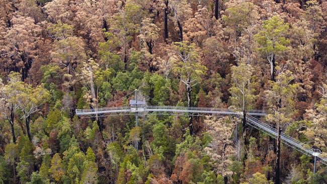 Aerial images of Tahune Airwalk after the fires. Picture: RICHARD JUPE