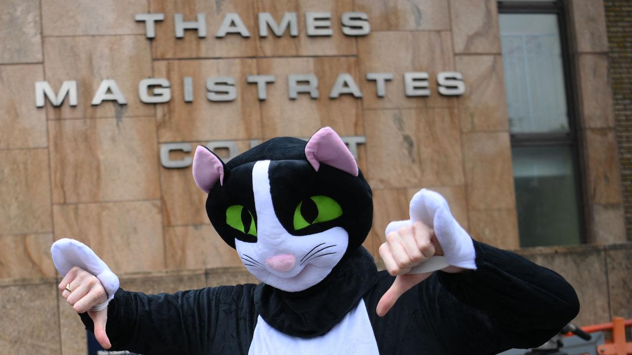 A demonstrator dressed up as a cat protests outside the court. (Photo by Daniel LEAL / AFP)