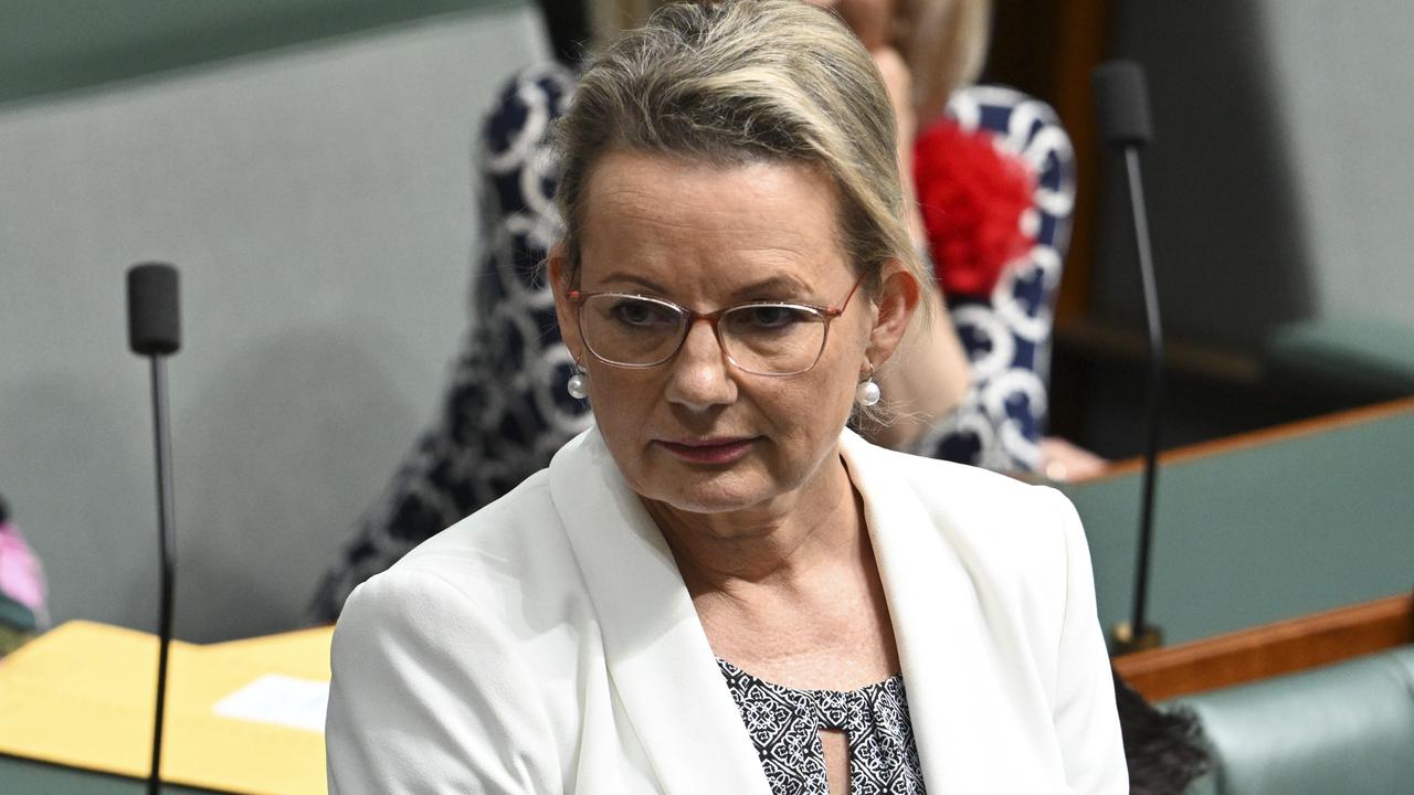 Deputy Liberal Leader Sussan Ley condemned the group’s behaviour. Picture: NewsWire / Martin Ollman