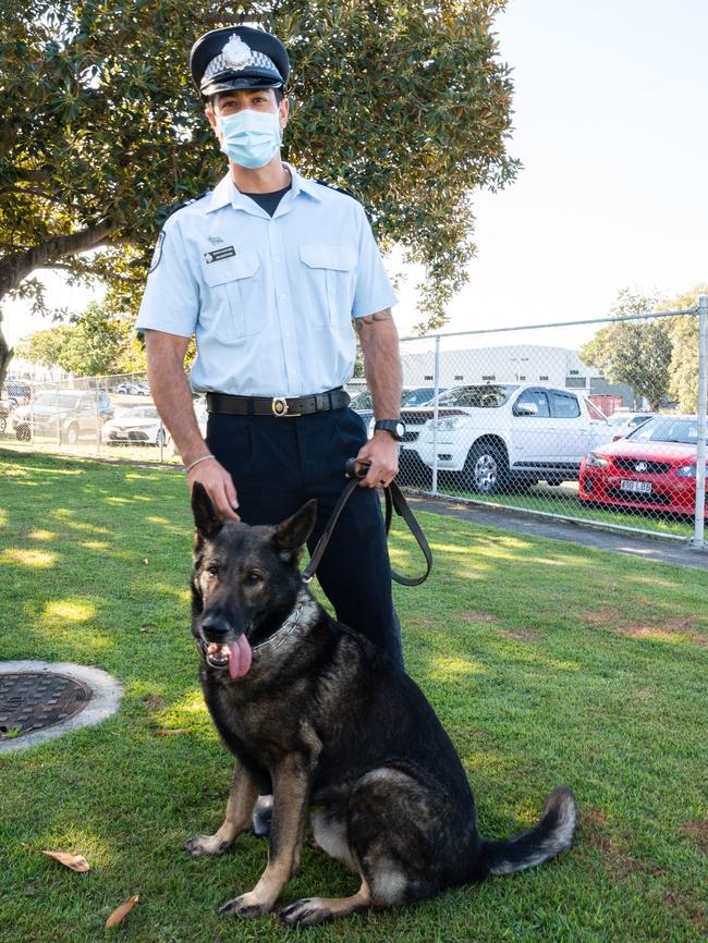 QPS police dogs are critical members of the service helping to support the frontline police. Photo: Queensland Police Service