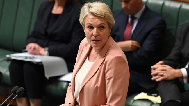 Minister for Environment and Water Tanya Plibersek. Picture: NCA NewsWire / Martin Ollman