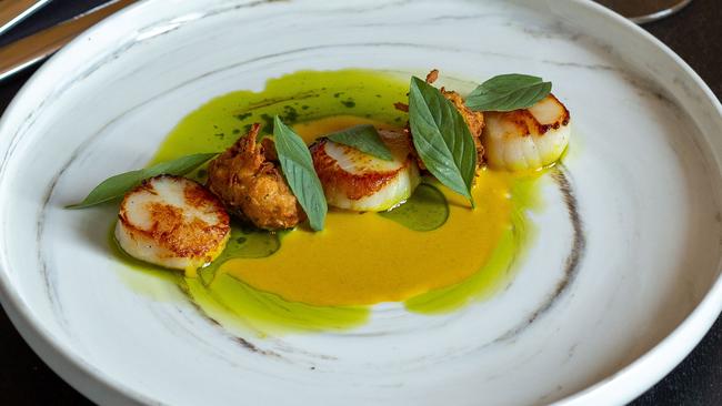 Seared scallops, cauliflower bhaji and curried cream.