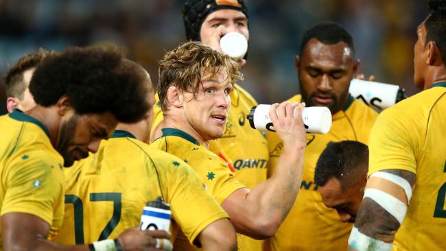 The Wallabies are licking their wounds after a Bledisloe humbling in Sydney.