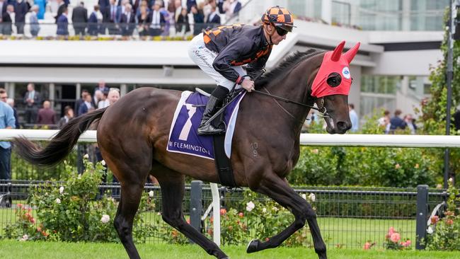 Benedetta on the way to the barriers prior to the running of  the Black Caviar Lightning at Flemington Racecourse on February 15, 2025 in Flemington, Australia. (Photo by George Sal/Racing Photos via Getty Images)