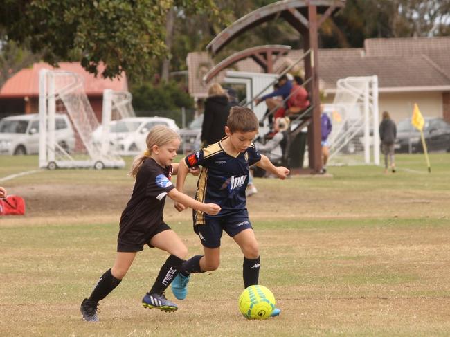 500 junior footy players ready to have a ball at Wide Bay carnival