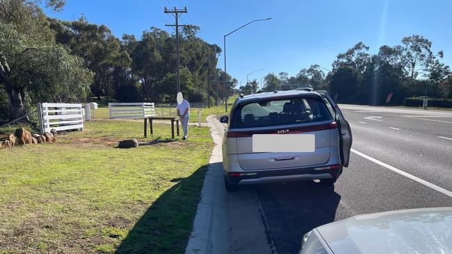 Man charged for stashing 78kg of Cannabis in Dubbo. Photo: NSW Police.