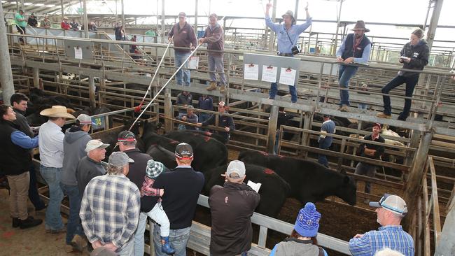 Buyers were watching on at the Leongatha store sale last week as confidence wanes. Picture Yuri Kouzmin