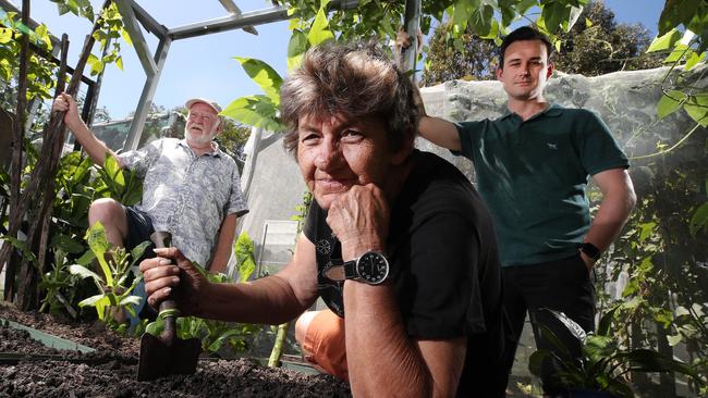 Project officer Brann Russell, president Vicky Goodrich and Bonney MP Sam O'Connor at the Labrador Community Garden following the theft. Picture: Glenn Hampson.