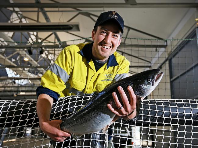 Huon Aquaculture open day. Huon Aquaculture assistant subsea manager Shea Cameron with a fresh salmon at Princes Wharf. Picture: SAM ROSEWARNE.