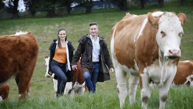 Txuleta, pronounced choo-le-ta, is traditionally from the Basque region of Spain and is beef from older cattle, celebrated for its full-bodied flavour. Picture: David Caird