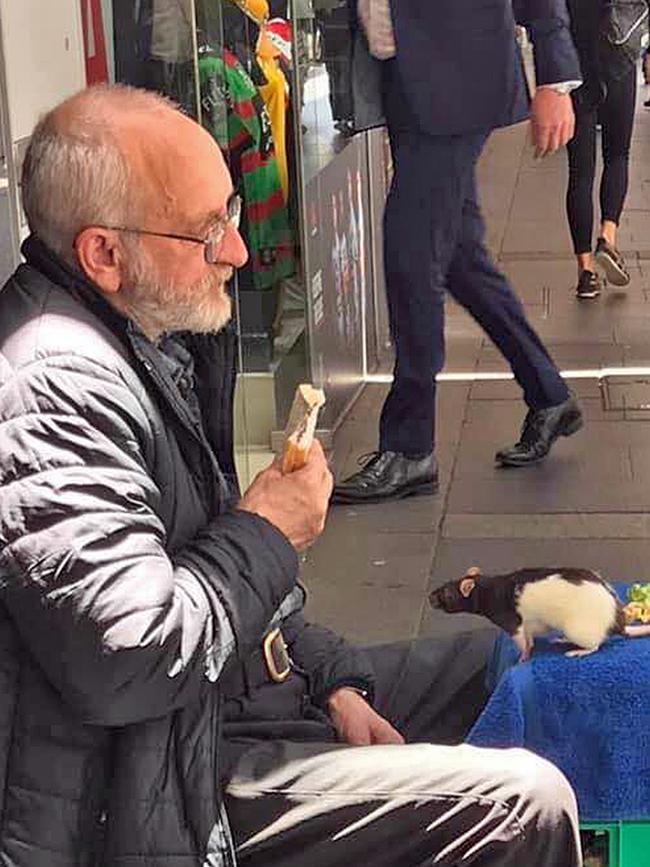 Chris and Lucy are a fixture of Sydney streets.