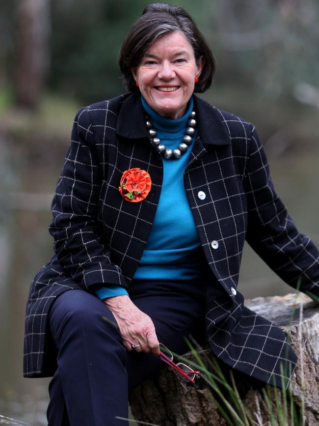 Federal independent Indi MP Cathy McGowan.