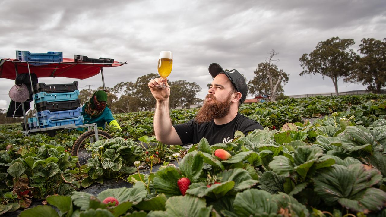 The craft beer sector is a South Australian success story | The Advertiser