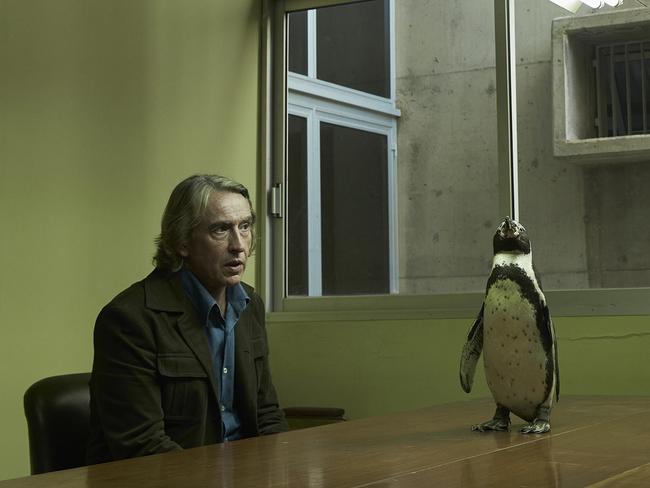 Steve Coogan in the Penguin Lessons