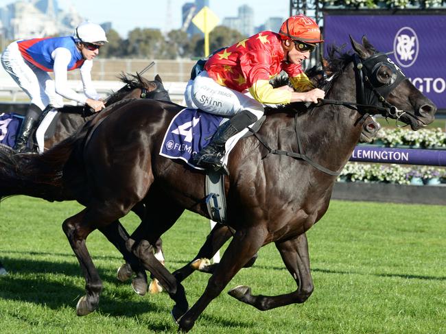 Gold Bullion (NZ) ridden by Blake Shinn wins the Penfolds Victoria Derby Preview at Flemington Racecourse on September 24, 2023 in Flemington, Australia. (Photo by Ross Holburt/Racing Photos via Getty Images)