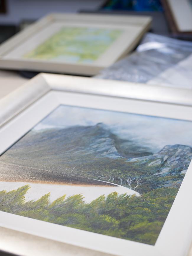 A painting of Lake Pedder before it was flooded, which is for sale through the South Hobart tip shop’s Art Triage program. Picture: RICHARD JUPE