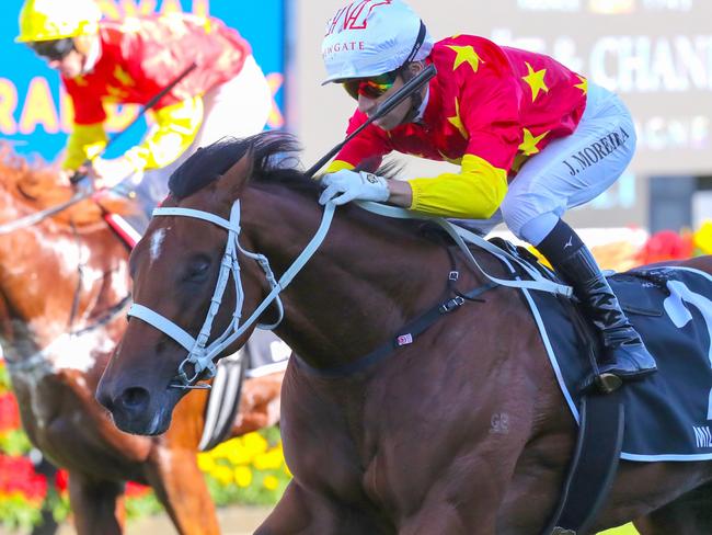 SYDNEY, AUSTRALIA - APRIL 15: Joao Moreira riding Militarize   wins Race 7 Moet & Chandon Champagne Stakes during "Schweppes All Aged Stakes Day" - Sydney Racing at Royal Randwick Racecourse on April 15, 2023 in Sydney, Australia. (Photo by Jeremy Ng/Getty Images)