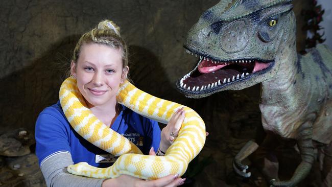 Manager Brooke Winters with Everest the albino Darwin Python and lifesize velociraptor. Picture: Timothy Clapin