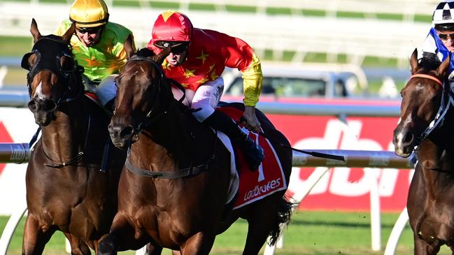 Surf Dancer will tackle The Gong again on Saturday. Picture: Grant Peters/Trackside Photography