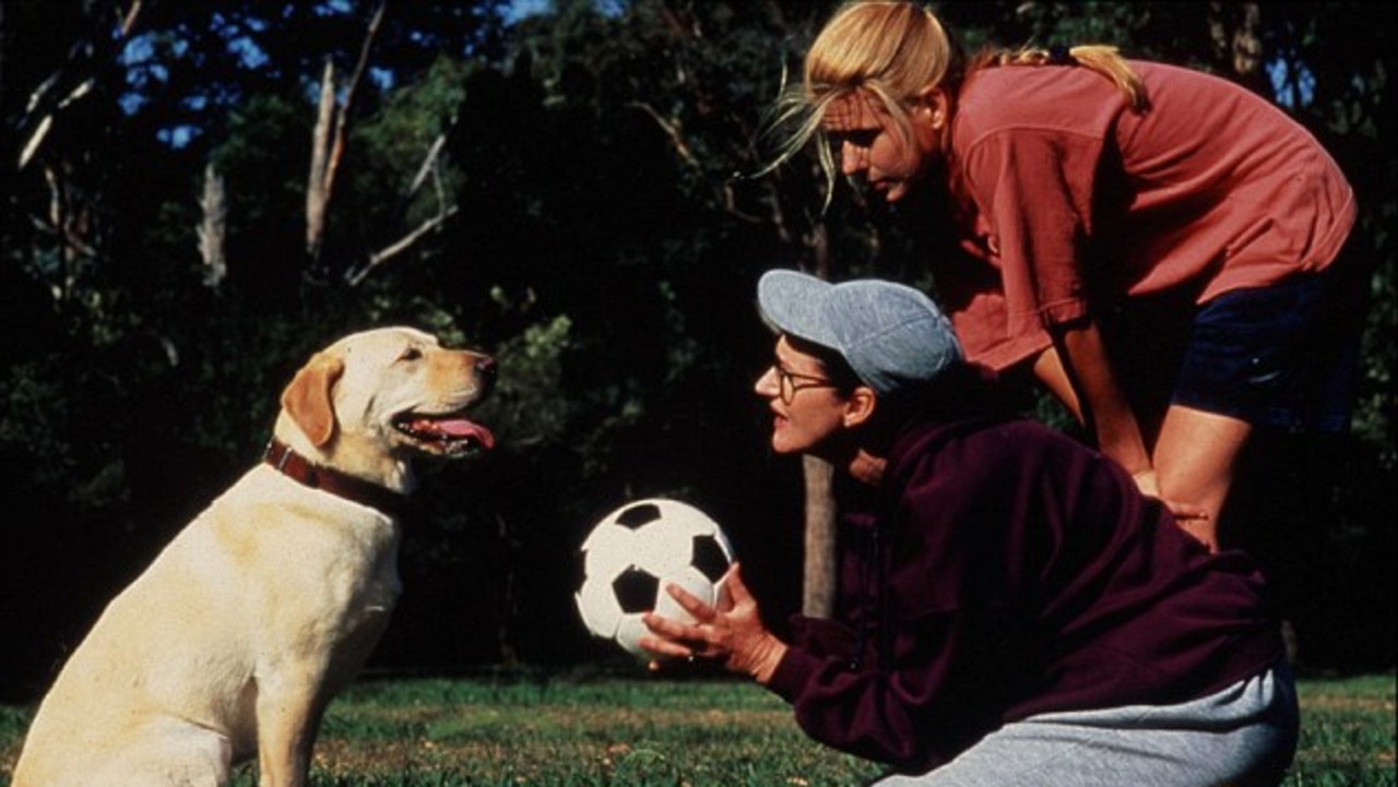 Bouncer — The loveable Labrador featured on Neighbours between 1987-1993. The resilient hound survived house fires, road accidents and poisonous mushrooms, but most memorably fantasised in a dream sequence about marrying Rosie, the border collie who lived next door. Fun Fact: For the 30th anniversary in 2015, Bouncer (or a distant relative) returned for a cameo. “Bouncer had a few notable affairs when he was on the show,” said producer Jason Herbison at the time, “so we are not exactly sure who he knocked up, but Bouncer 2 is definitely a direct descendant.”