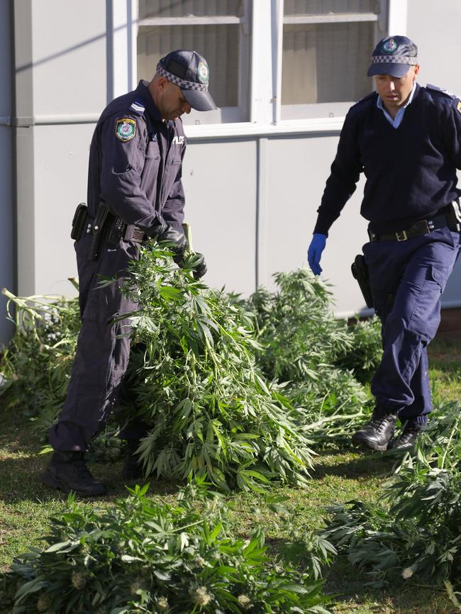 Police found two rooms inside the Fairfield West property being used to hydroponically grow cannabis and seized 58 cannabis plants.