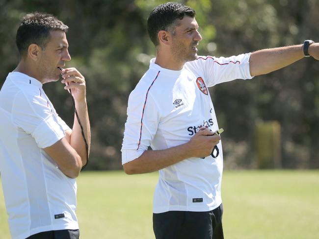 A League Aloisi Brothers John And Ross Aiming To Return Brisbane Roar