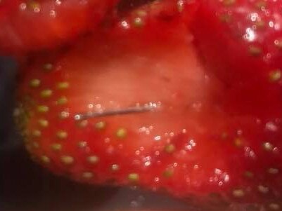 12/09/2018 Hoani van Dorp was hospitalised after swallowing a needle in a strawberry. Facebook