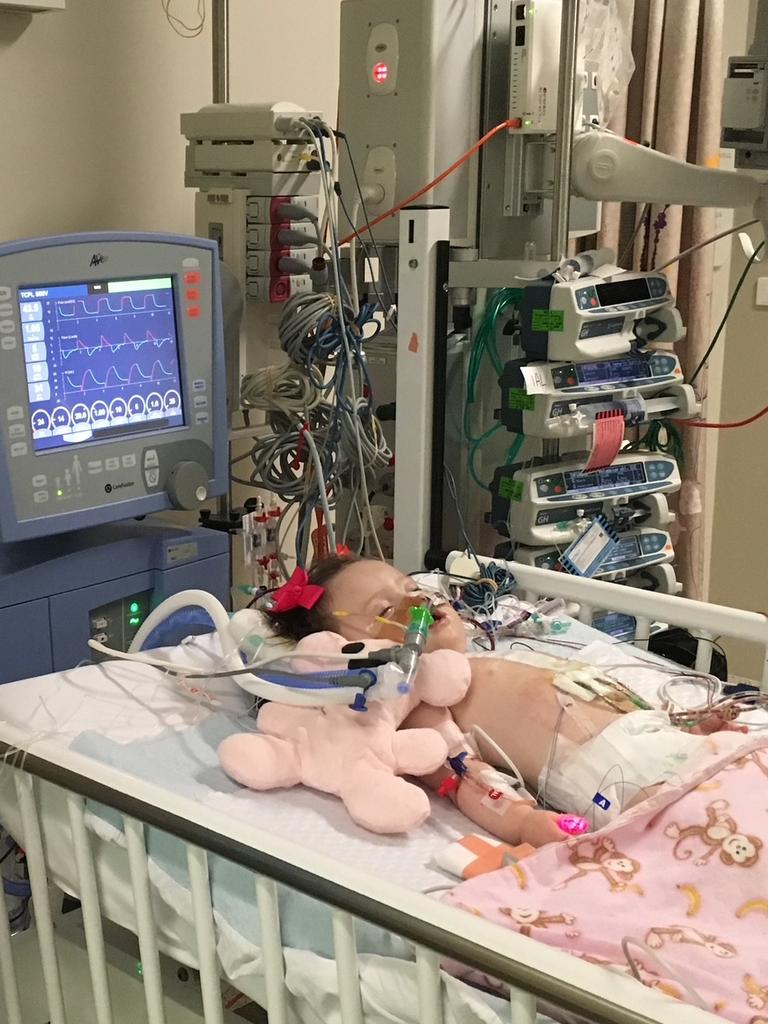 There are around 1800 Australians on the waitlist for an organ transplant and around 14,000 additional people on dialysis who may need a kidney transplant. Picture: Supplied by family