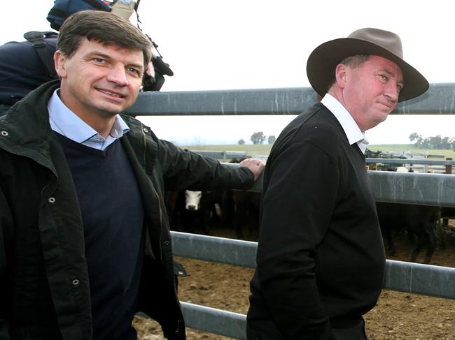 Local MP Angus Taylor, Agirculture Minister Barnaby Joyce and PM Tony Abbott visiting Bellevale Homestead Cattle Yard in Yass, NSW.