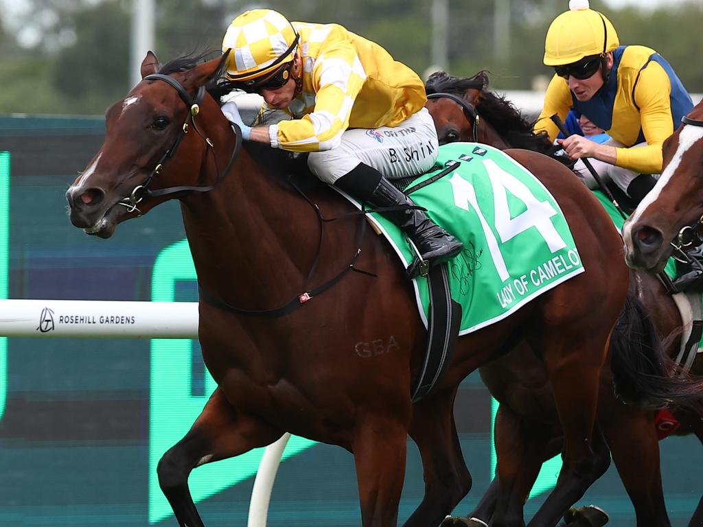 Sydney Racing: Golden Slipper Day